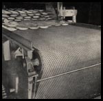 Belt Selection